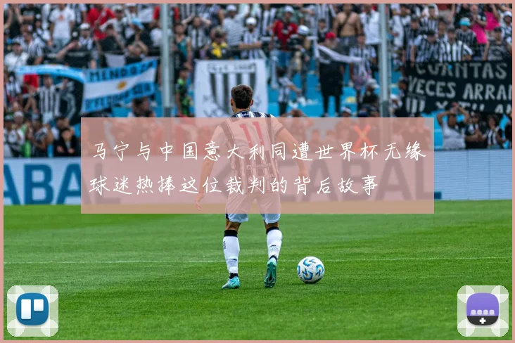 马宁与中国意大利同遭世界杯无缘球迷热捧这位裁判的背后故事