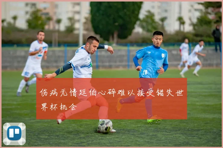 伤病无情廷伯心碎难以接受错失世界杯机会